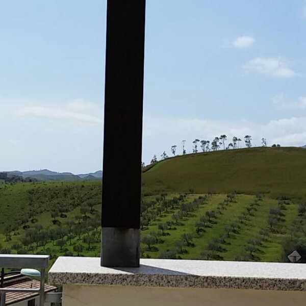 Udsigt fra tagterrasse